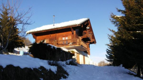 Spacieux Chalet